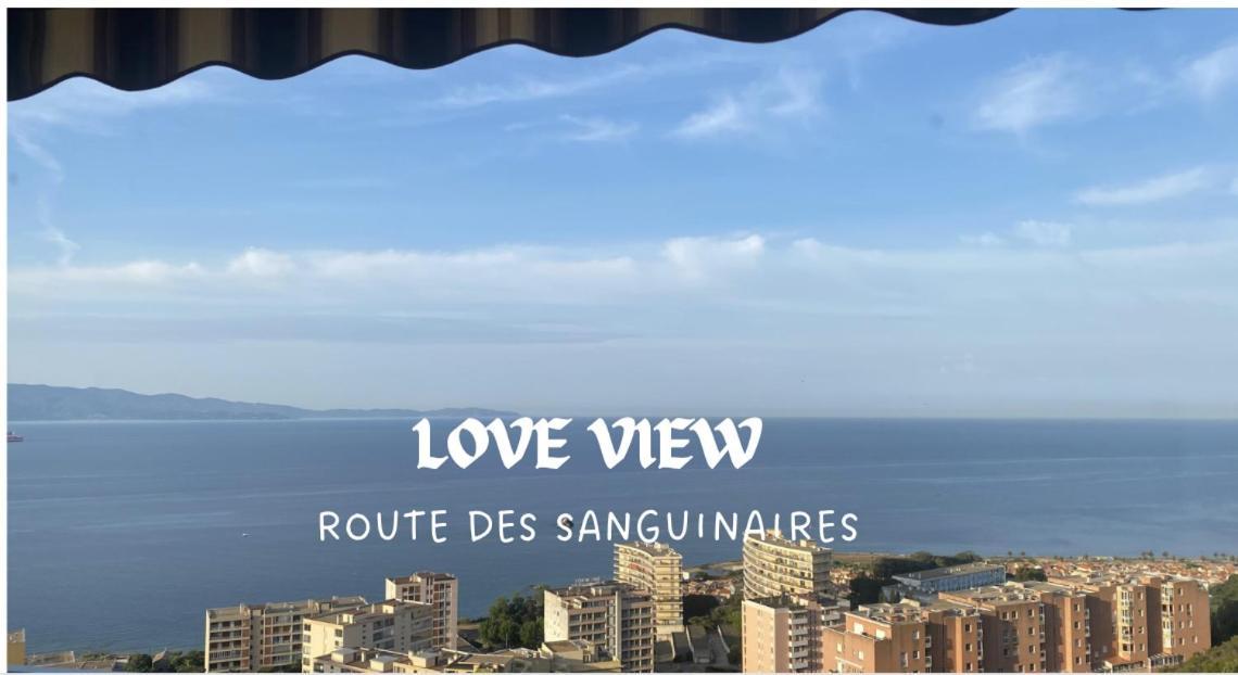 Splendide Vue Dans Ce ! Ajaccio (Corsica)
